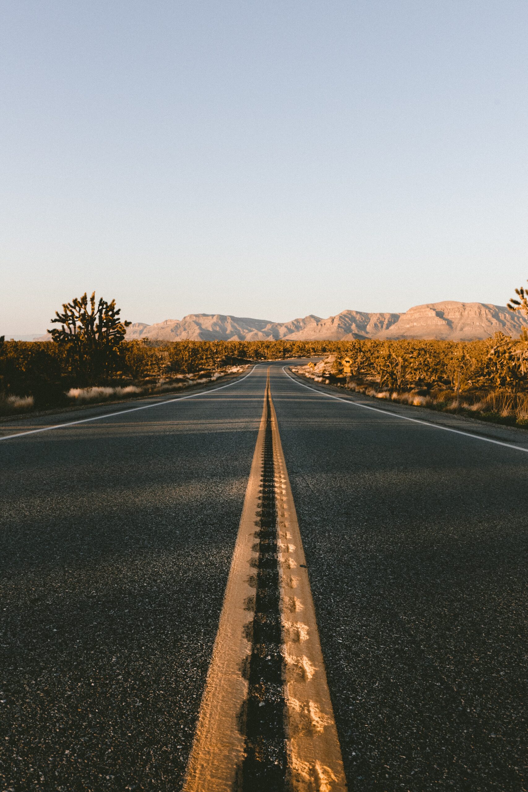 PTSD TRAUMA unsplash