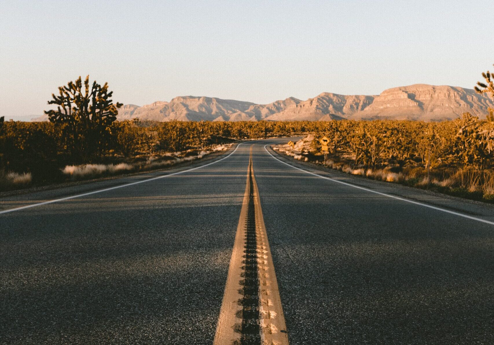 PTSD TRAUMA unsplash