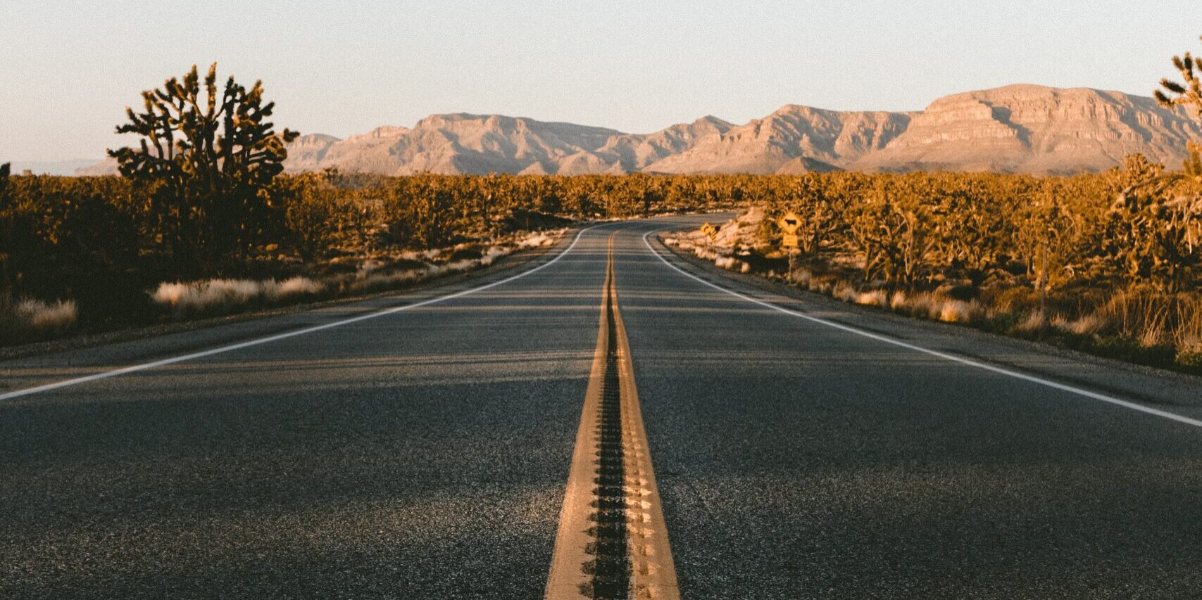 PTSD TRAUMA unsplash